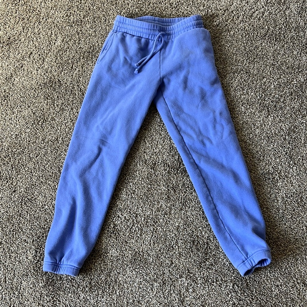Aritzia TNA sweat pants
